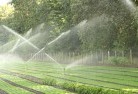 Currambinelandscaping-water-management-and-drainage-17.jpg; ?>